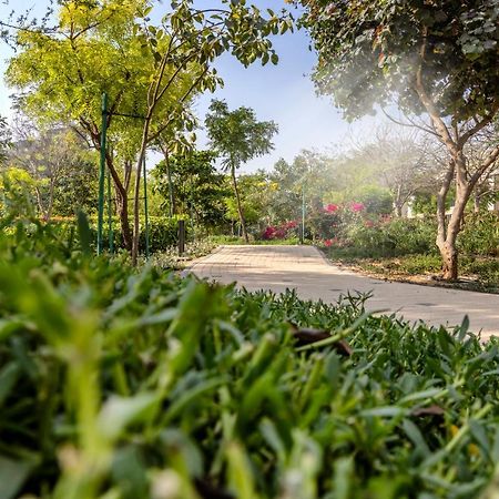 Stay Sensational 3Br Holiday Home Near Burjkhalifa Dubaj Kültér fotó
